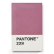 Pantone Card Holder Aubergine