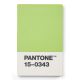 Pantone Card Holder Green