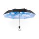Sky Umbrella