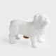 Guard Dog Money Box