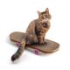 Ονυχοδρόμιο Skateboard 19x58x8cm