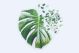 Slow Puzzle Monstera