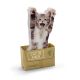 Sticky Notes - Cat In A Box (150pcs)