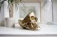 Organizer Κρανίο Skull Tidy - Χρυσό