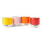Pantone Thermo Cup Set - Yellow, Orange, Red, Light Pink