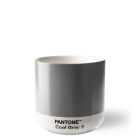 101060009  Pantone Thermo Cup-Cool Gray