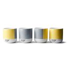 Pantone Thermo Cup Set of 4 - COY21 (gift box)