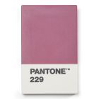 Pantone Θήκη Καρτών - Μελιτζανί
