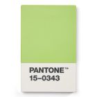 Pantone Card Holder Green