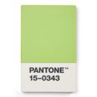 Pantone Θήκη Καρτών - Πράσινο