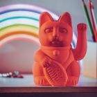 Lucky Cat Neon Orange