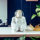 Summer Globe The Gorilla