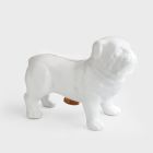 Guard Dog Money Box