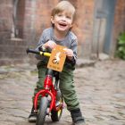 Growing Cards - My First Steps in Life