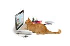 Laptop Cat Toy 33 x 27 x 23 cm