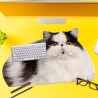 Neonprene waterproof deskmat 8,5x8,5x37cm - Fat Cat