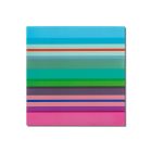 Magnetic Board Selva