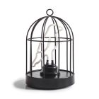 Neon Light Bird in a Cage