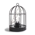 Neon Light Bird in a Cage