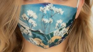 Face Mask | Katsushika Hokusai - Fuji from Gotenyama