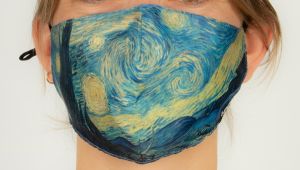 Προστατευτική Μάσκα | Vincent Van Gogh - Starry Night
