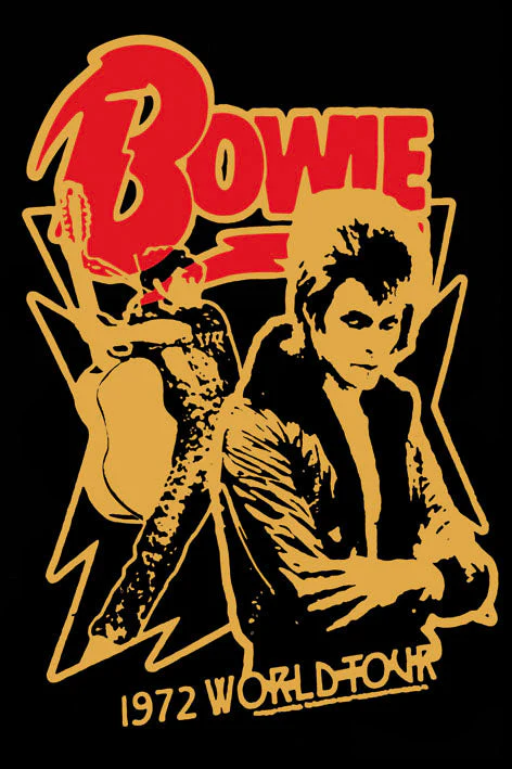Fine Art Print Αφίσα David Bowie World Tour 30x40cm