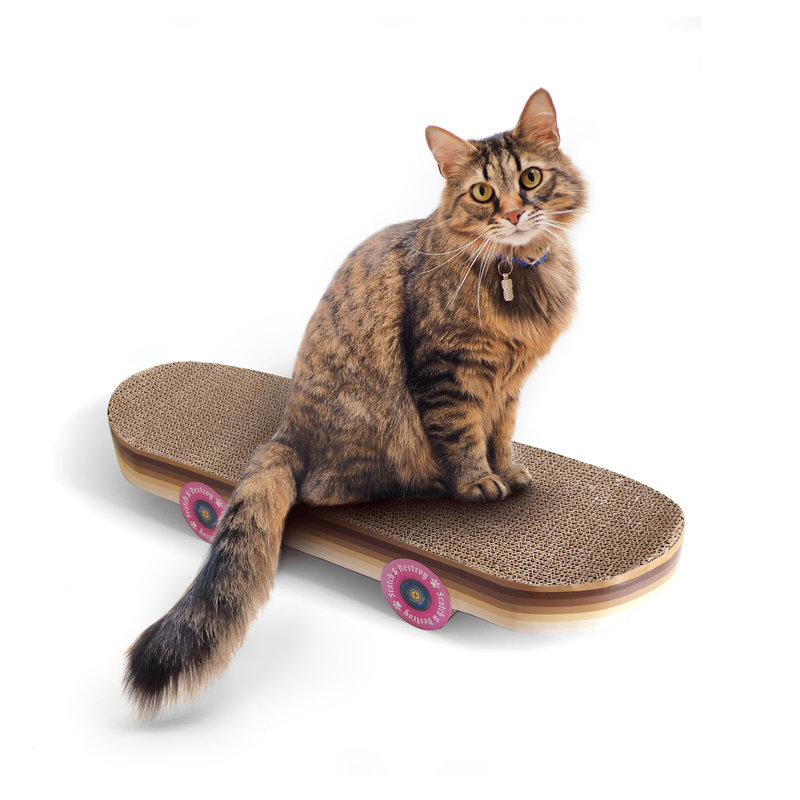 Ονυχοδρόμιο Skateboard 19x58x8cm