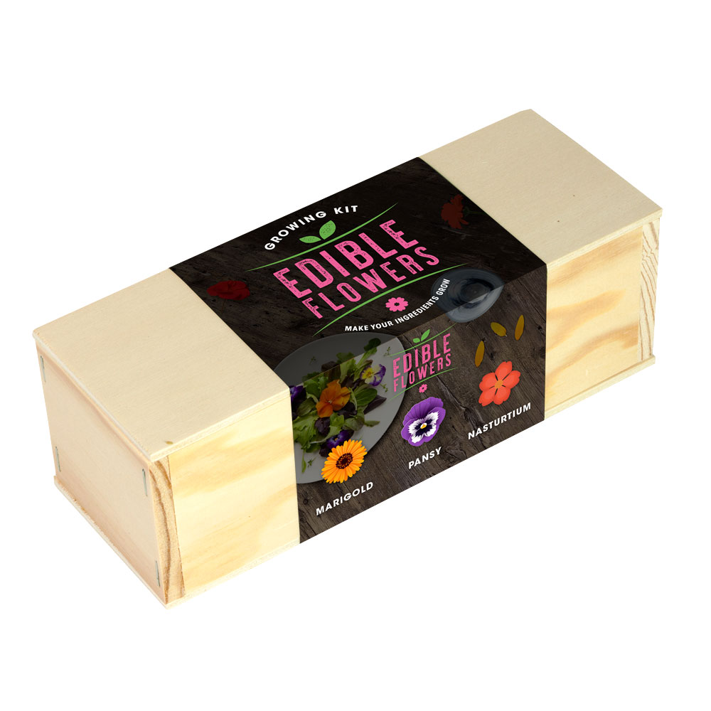 Growing Kit Βρώσιμων Λουλουδιών – Καλλιεργήστε Κατιφέ, Πανσέ & Καπουτσίνο