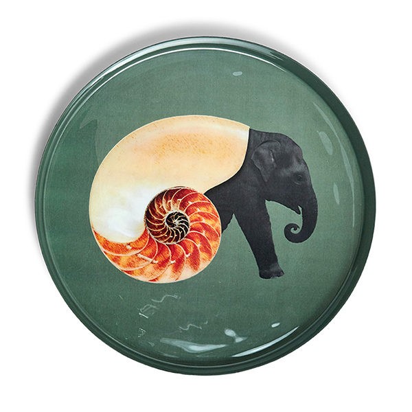 Στρογγυλός Δίσκος Shellephant 33 cm