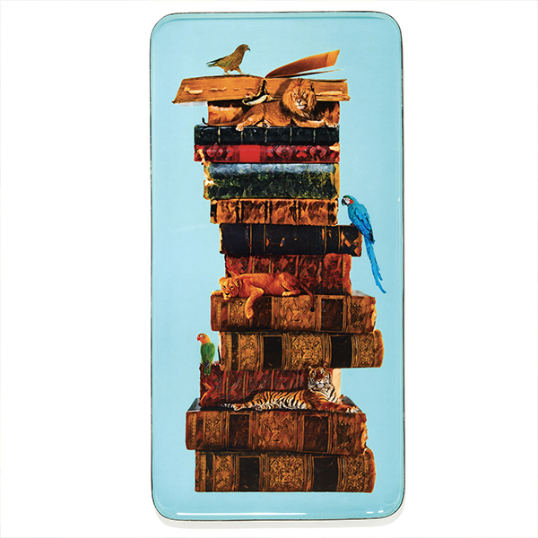 Διακοσμητικός Ορθογώνιος Δίσκος Anibook 20x40cm