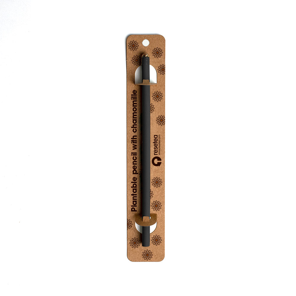 Plantable pencils (Chamomille)