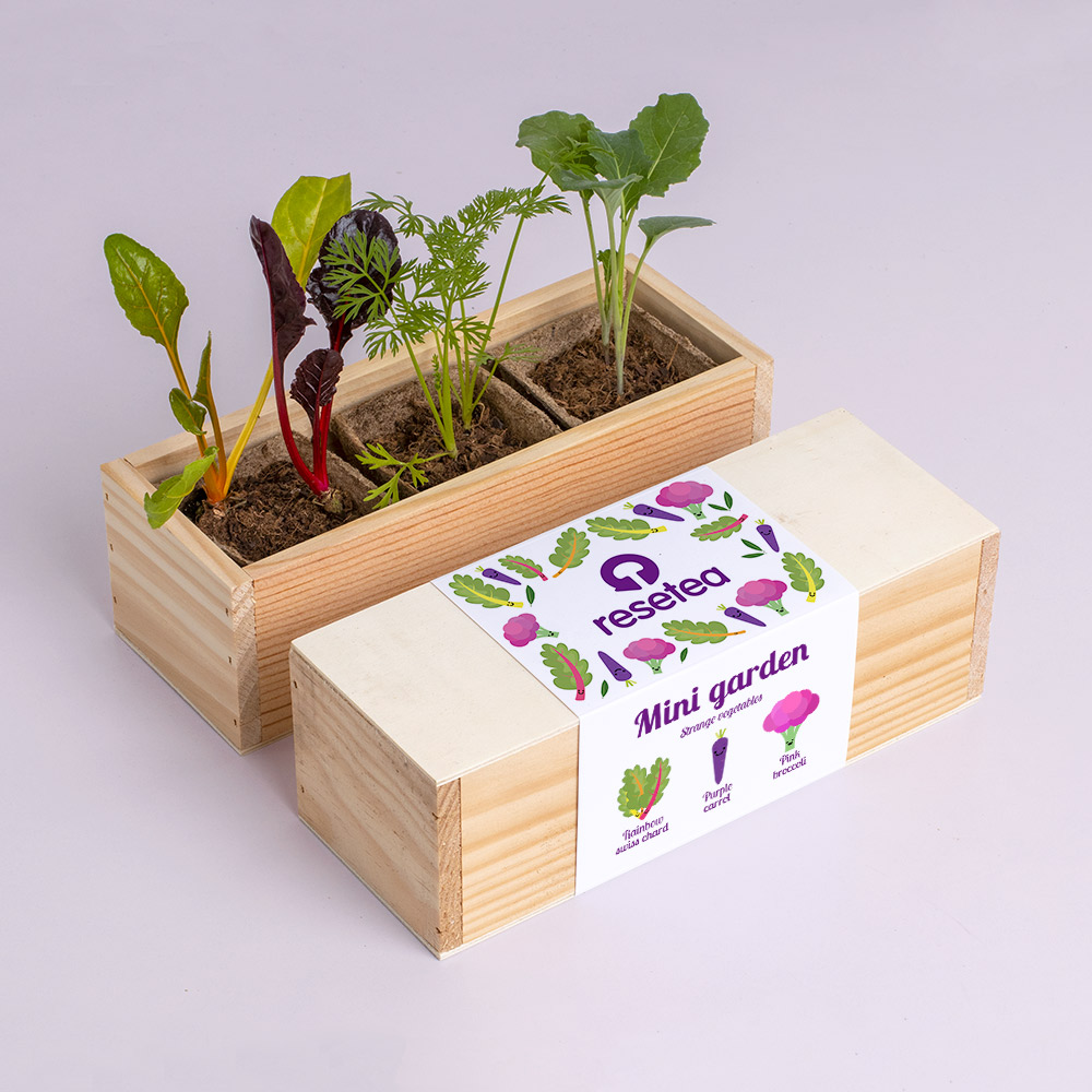 Mini garden Strange vegetables