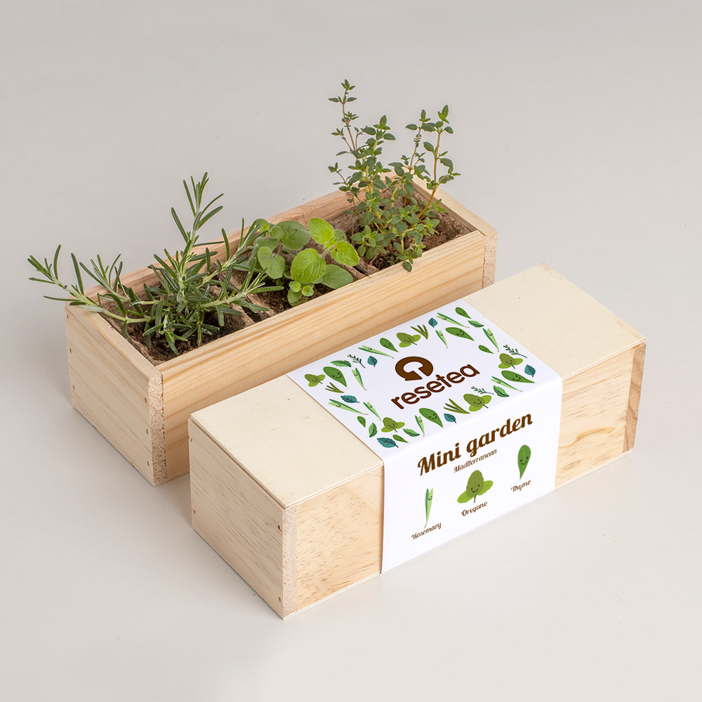 Mini Garden Μεσογειακών Βοτάνων – Σετ Καλλιέργειας Δενδρολίβανου, Ρίγανης & Θυμαριού
