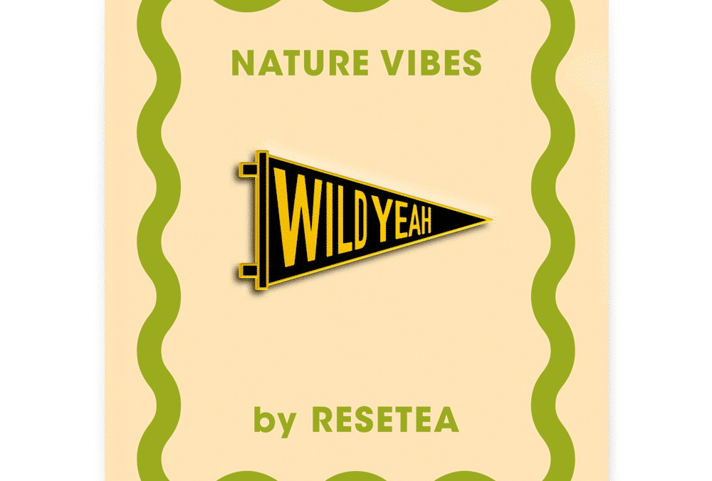 Wild yeah - Pin