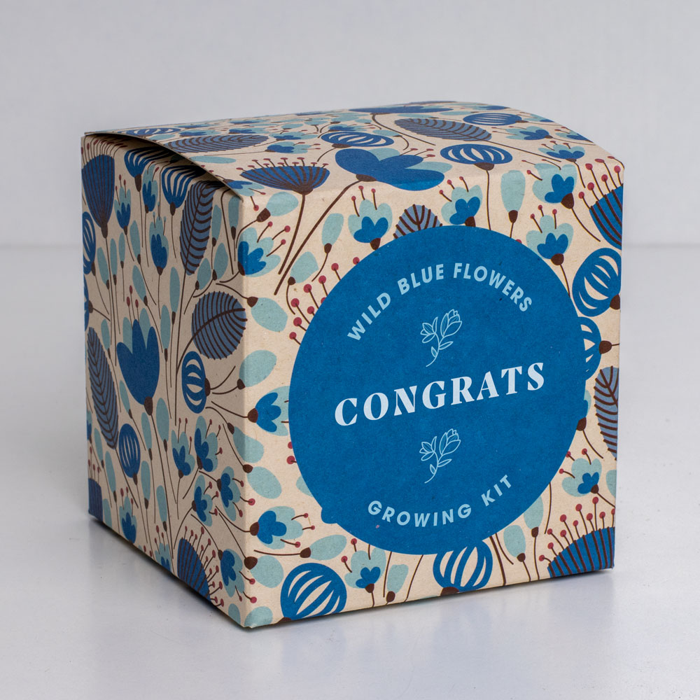 Say it with Flowers Growing Kit (Congrats)