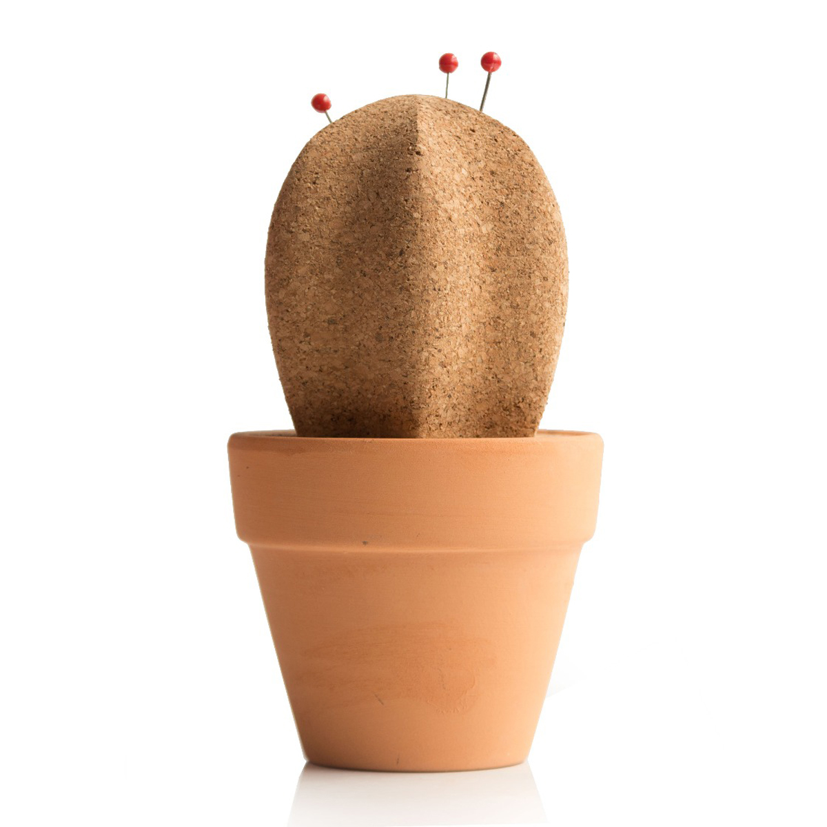 Κάκτος από Φελλό