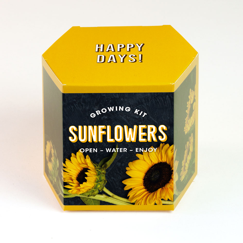 Sunflower Growing Kit – Κιτ Καλλιέργειας Ηλίανθου
