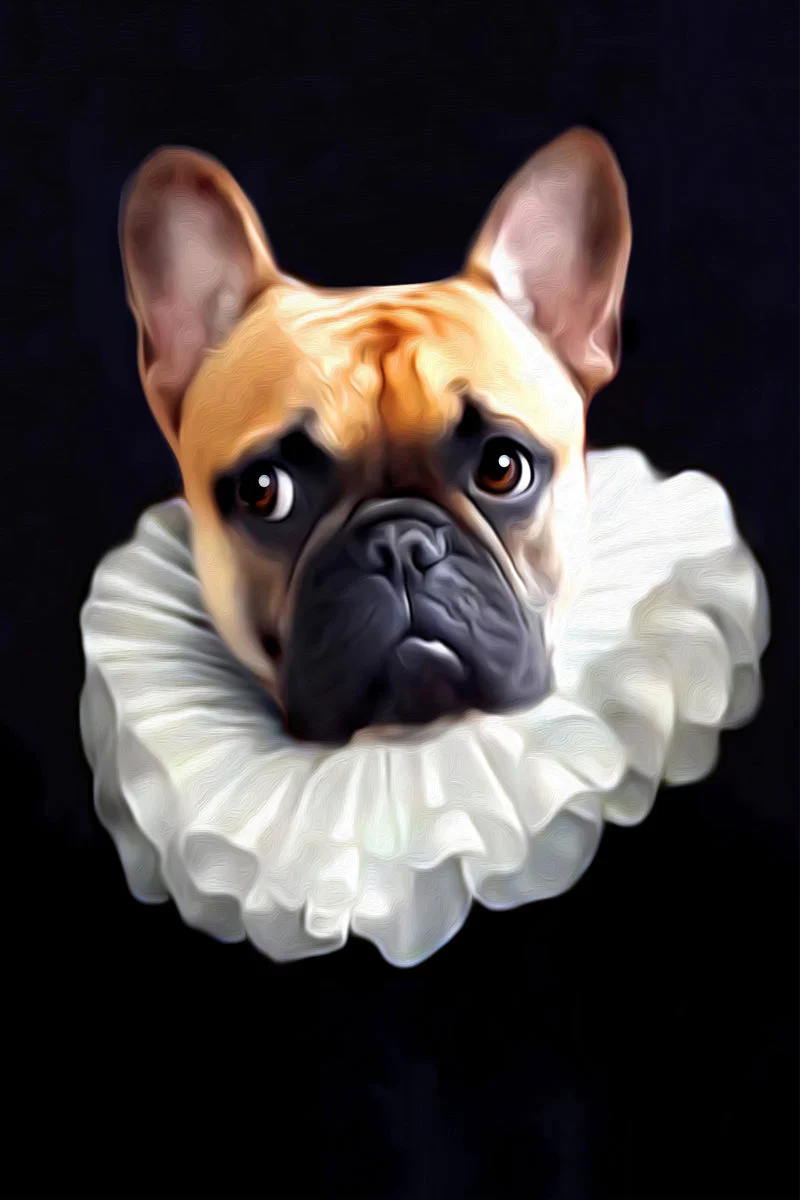 Αφίσα TEIN LUCASSON - Pipo - 30 x 40 cm