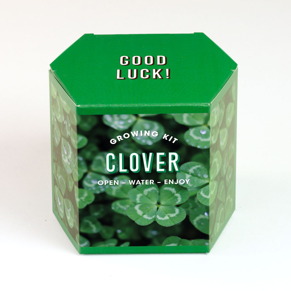 Clover Growing Kit – Κιτ Καλλιέργειας Τριφυλλιού