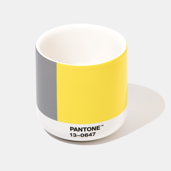 Pantone Thermo Cup - COY21 (gift box)