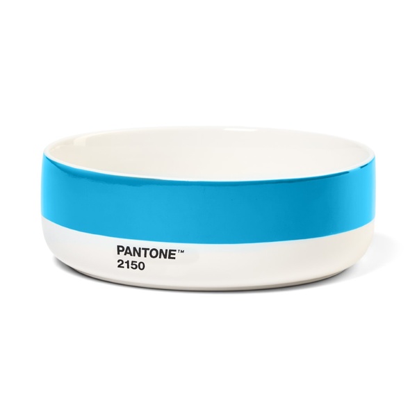Pantone Bowl - Blue