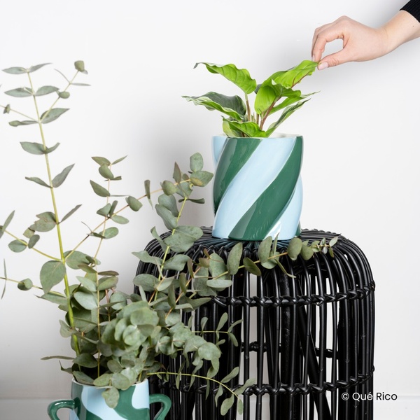 PLANT POT CAMILO - AMOR DEL COLOR - BLUE/GREEN - 4 PLANT POT CAMILO - AMOR DEL COLOR - BLUE/GREEN - 4