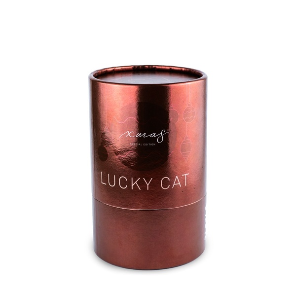 Lucky Cat - Shiny Red 8,5 x 10,5 x 15 cm - 3