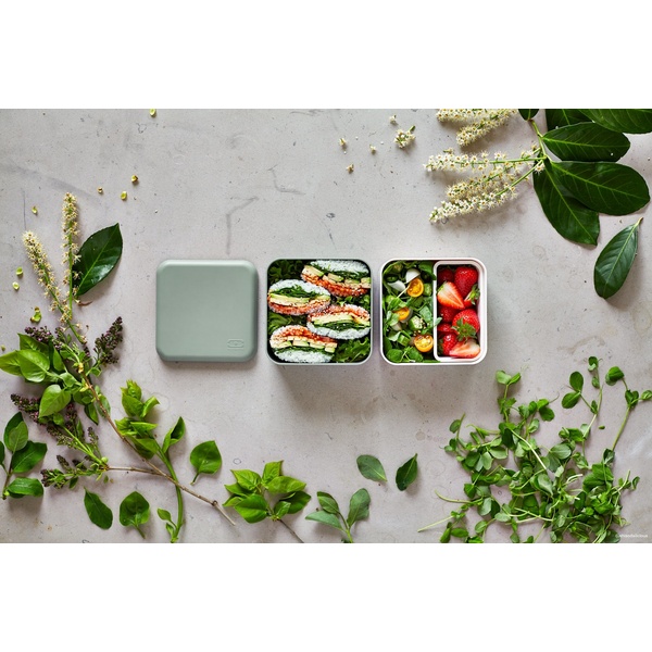 MB Square (PP) Made in France - Natural Green - 6 MB Square (PP) Made in France - Natural Green - 6