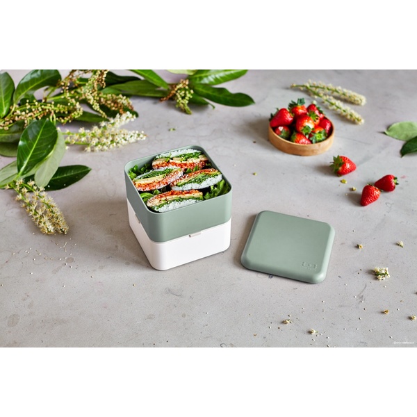 MB Square (PP) Made in France - Natural Green - 8 MB Square (PP) Made in France - Natural Green - 8
