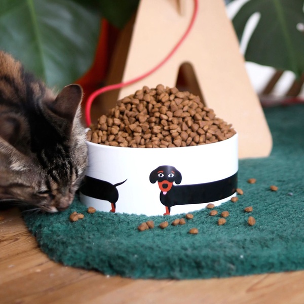 Dog - Bowl - 2 Dog - Bowl - 2