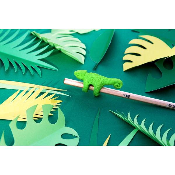 Pencil & Eraser Jungle - Chameleon - 2