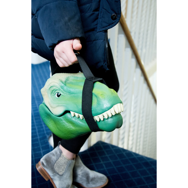 Dinosaur Lunch Box - 2 Dinosaur Lunch Box - 2