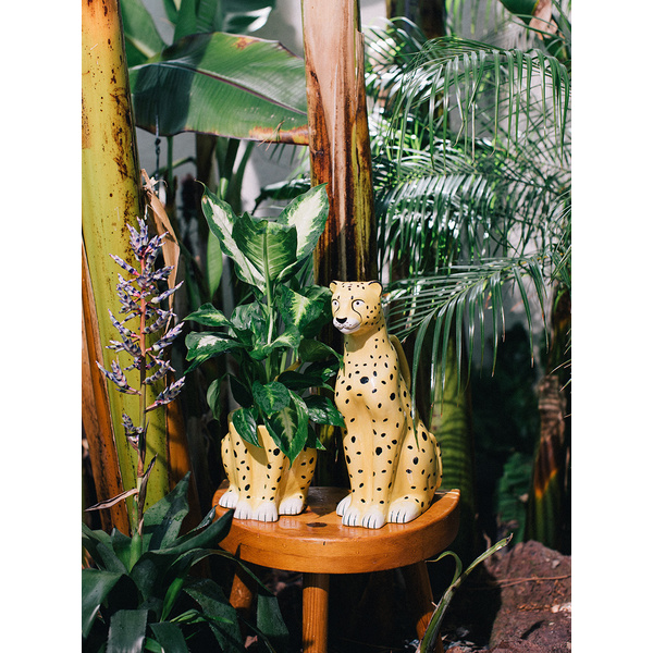 Urban Jungle Plant Pot - Cheetah - 3