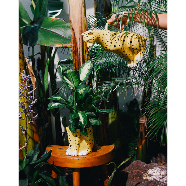 Urban Jungle Plant Pot - Cheetah - 4